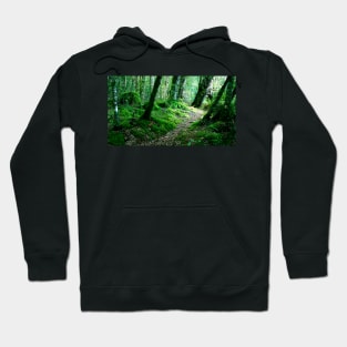 Woodland New Zealand Hoodie